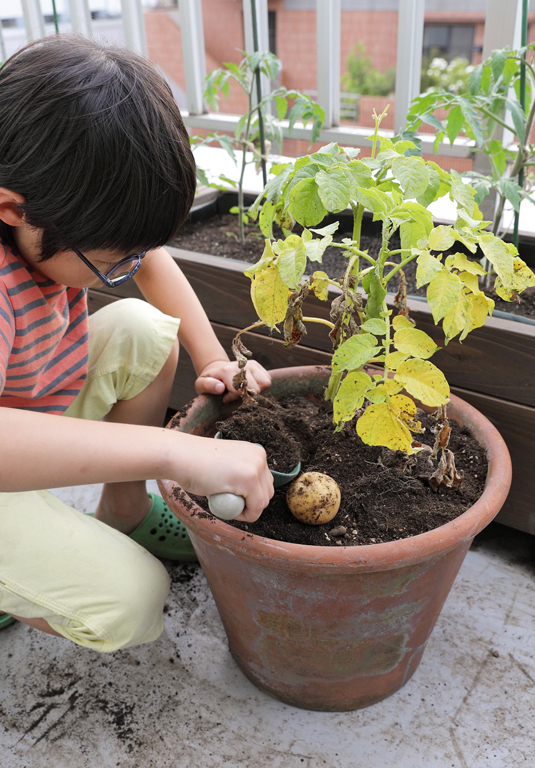 ベランダ菜園家12ヶ月 春を呼ぶジャガイモ Urban Farmers Club